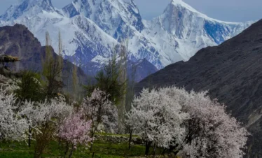 Hunza Blossom Tour