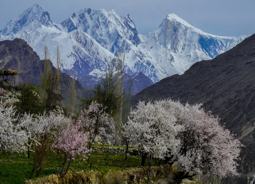 Hunza Blossom Tour