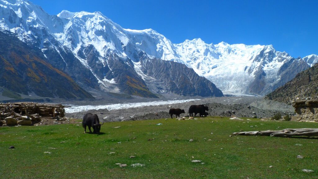 HUNZA PASSU BATURA TREK