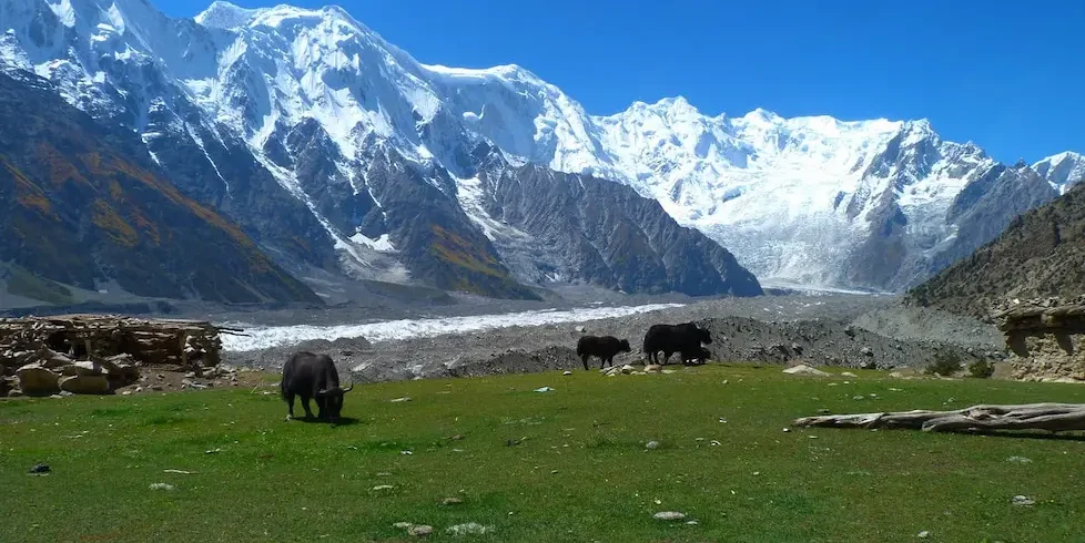 HUNZA PASSU BATURA TREK