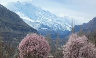 North Pakistan Blossom Tour