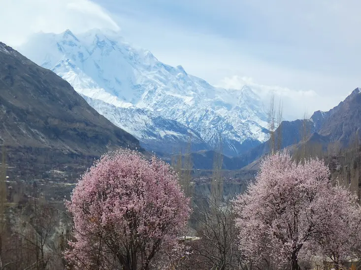 North Pakistan Blossom Tour