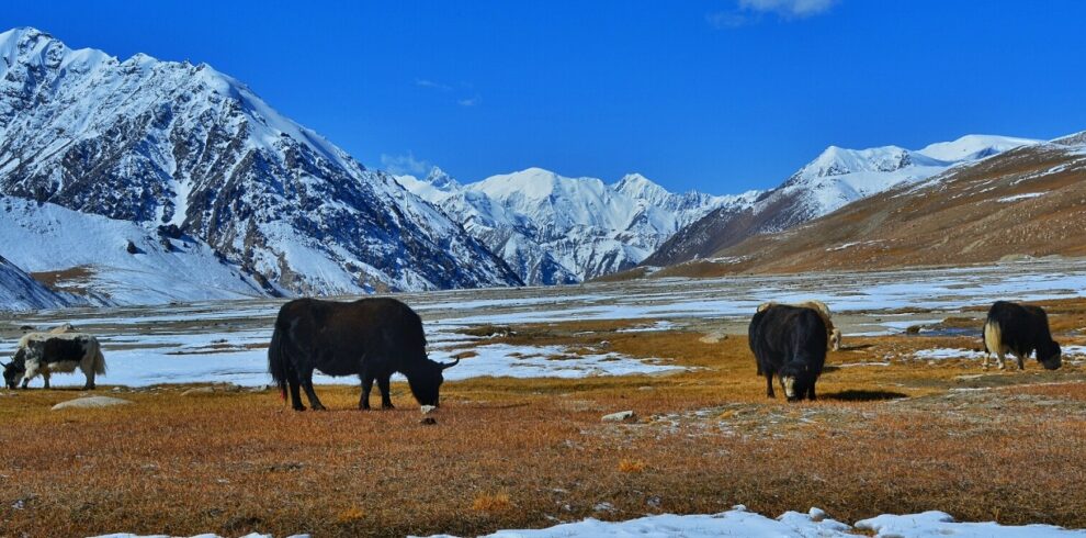 NORTH PAKISTAN AUTUMN TOUR