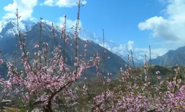 Hunza Blossom Tour