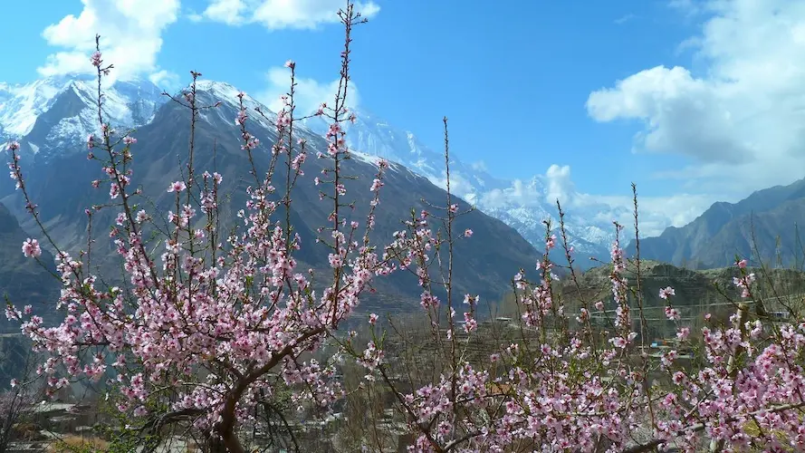 Hunza Blossom Tour