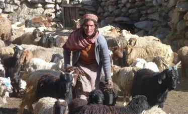 SHIMSHAL PASS – PAMIR TREK