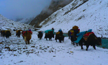 HUNZA PASSU BATURA TREK