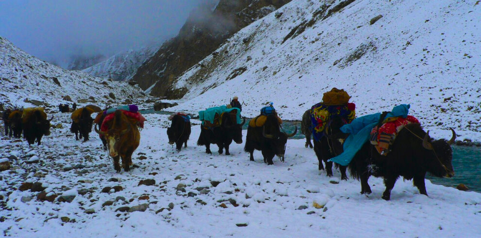 HUNZA PASSU BATURA TREK