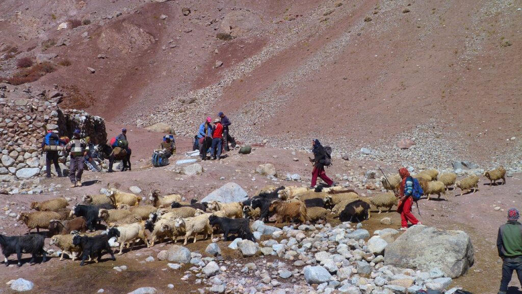 SHIMSHAL PASS – PAMIR TREK