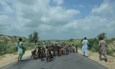 Exploration of Tharparkar