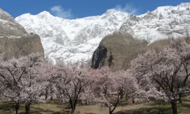 North Pakistan Blossom Tour