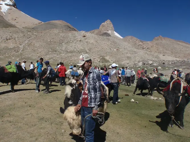 Yak Safari Trip In Shimshal valley