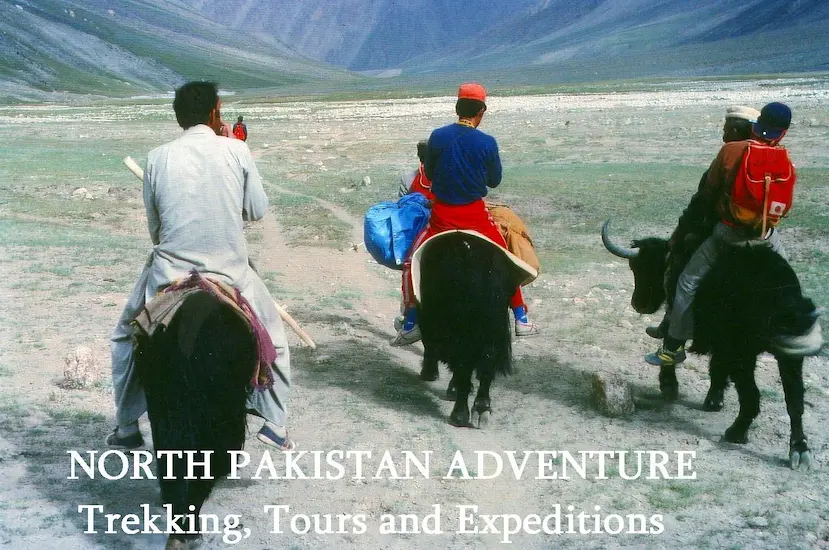 Yak Safari Trip In Shimshal valley