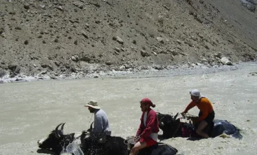 Yak Safari Trip In Shimshal valley