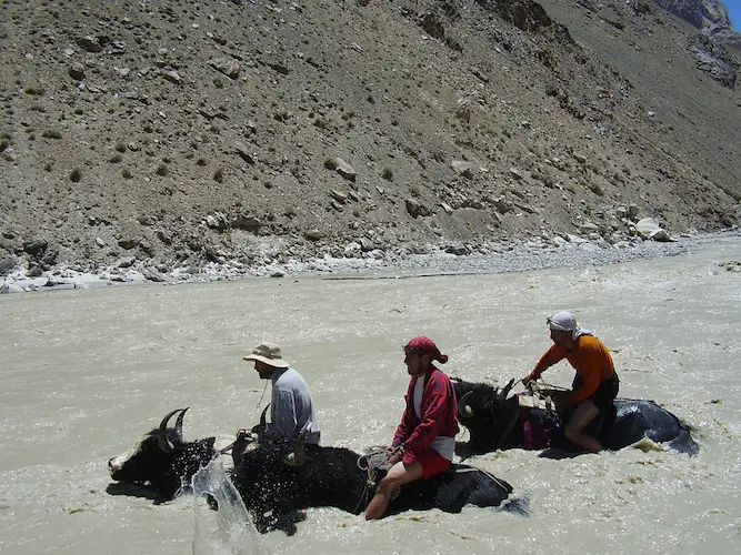 Yak Safari Trip In Shimshal valley