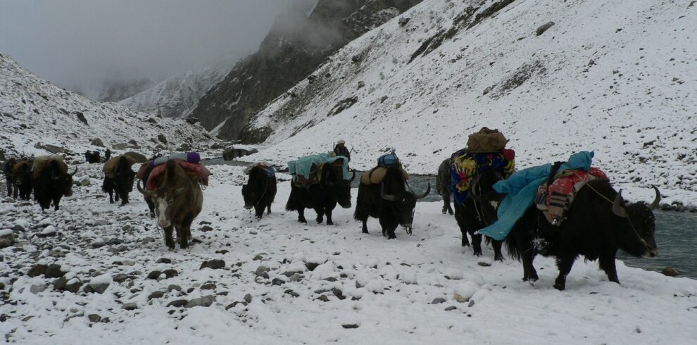 HUNZA PASSU BATURA TREK