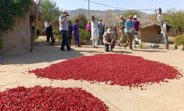 "Scenic sunset over Tharparkar desert during guided tour"