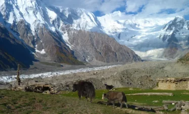 Batura Peak Climbing Expedition