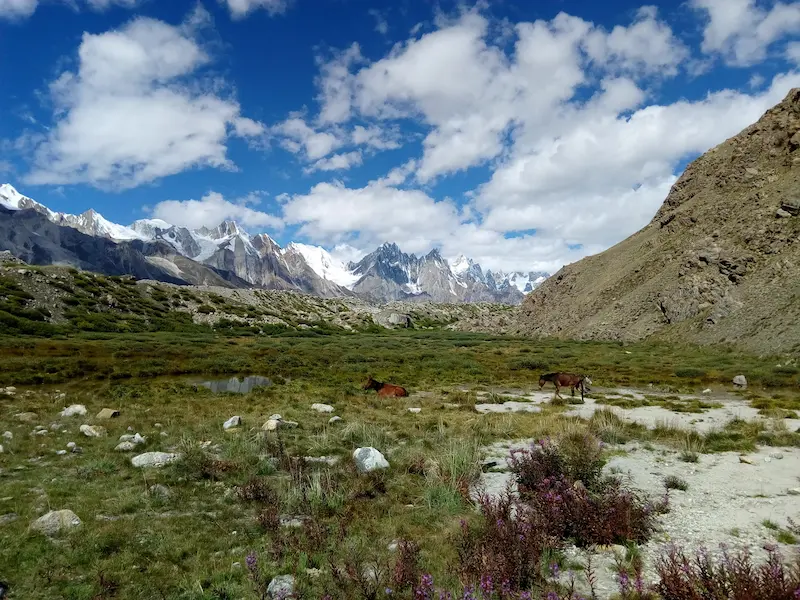 SNOW LAKE BIAFO-HISPAR TREK