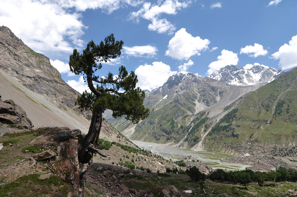 NALTAR- ISHKOMAN (Pakora Pass trek 4720 M)