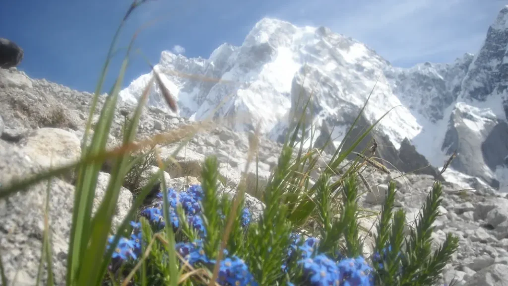 CLIMBING PEAK IN CHARKUSA VALLEY