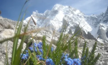 Climbing in Charkusa Valley