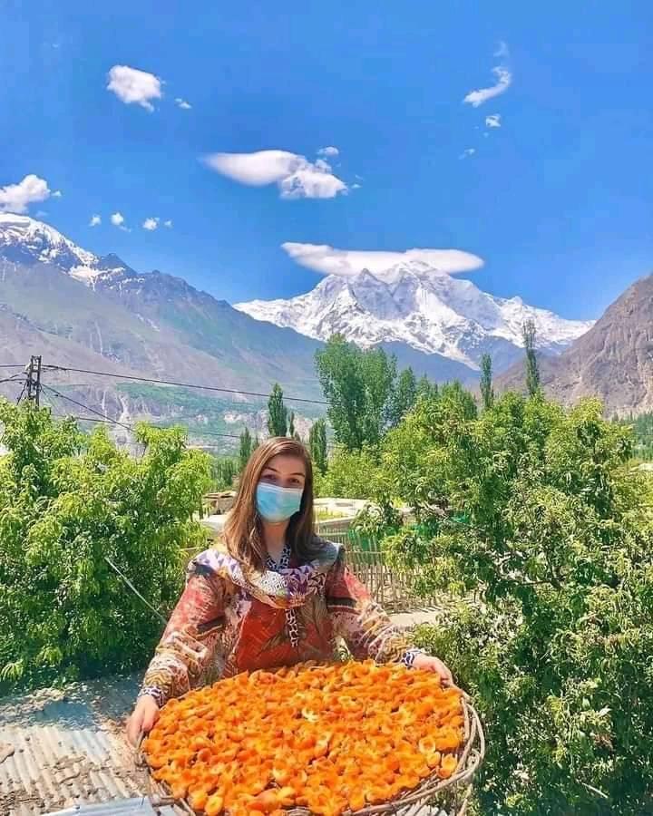 Apricot Tour Hunza Valley – Walking Through Golden Orchards