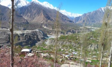 Duikar Eagle’s Nest Hunza Blossoms