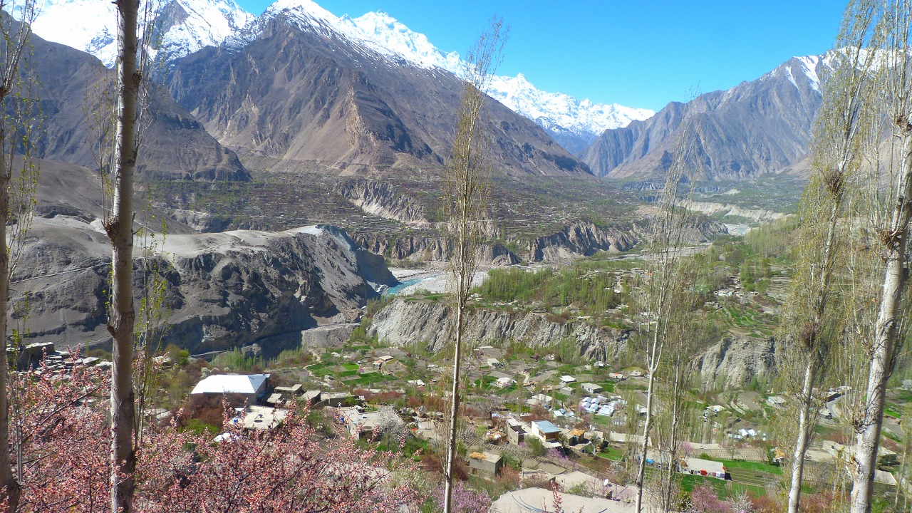 Duikar Eagle’s Nest Hunza Blossoms