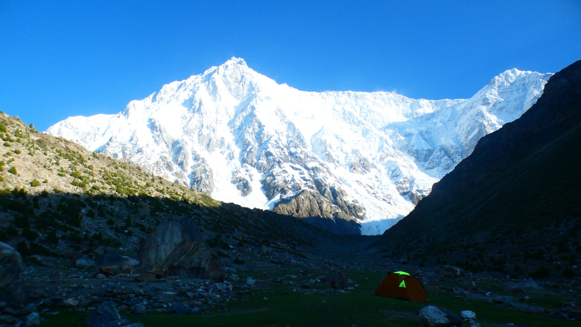 Nanga Parbat Adventure Himalayan wildlife near Nanga Parbat