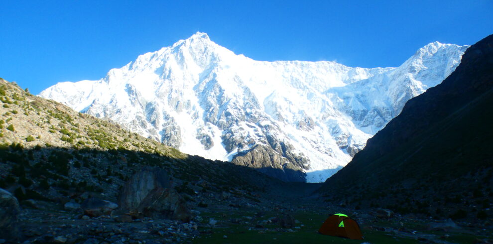 Nanga Parbat Adventure Himalayan wildlife near Nanga Parbat