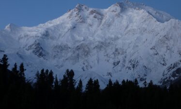 Himalayan wildlife near Nanga Parbat