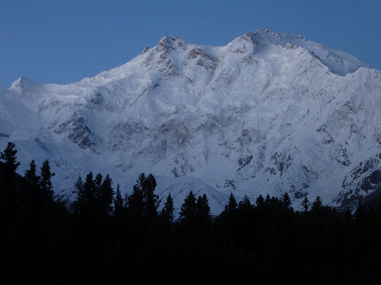 Himalayan wildlife near Nanga Parbat