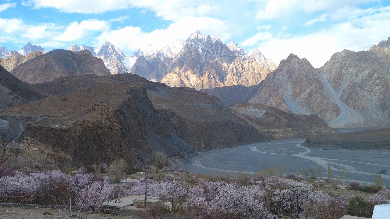 Apricot blossoms in Hunza Valley during Hunza Apricot Blossom Tour