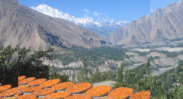 "Apricot Blossom Festival in Hunza Valley – nature’s spring celebration"